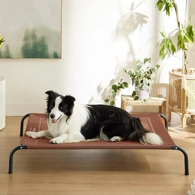Elevated Dog Cot Bed with Breathable Mesh